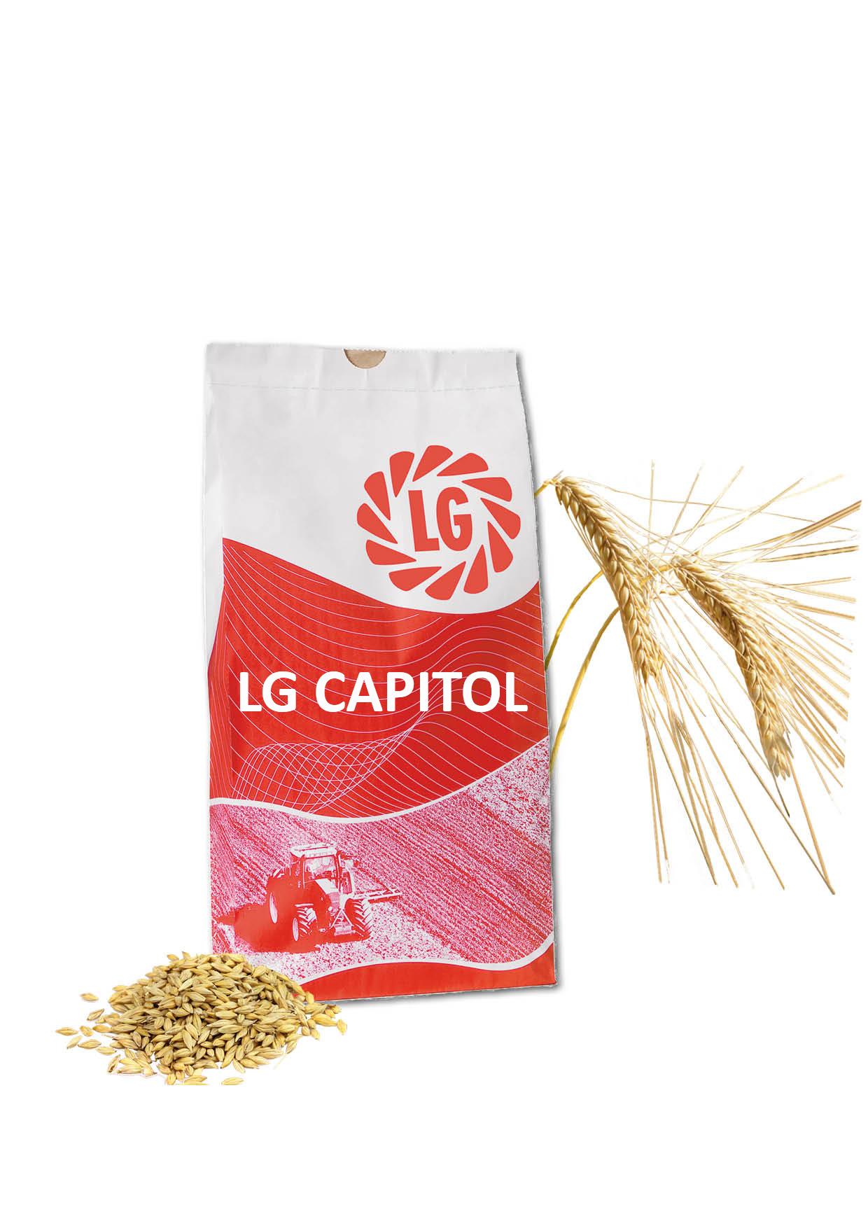 LG CAPITOL sėkla nauja