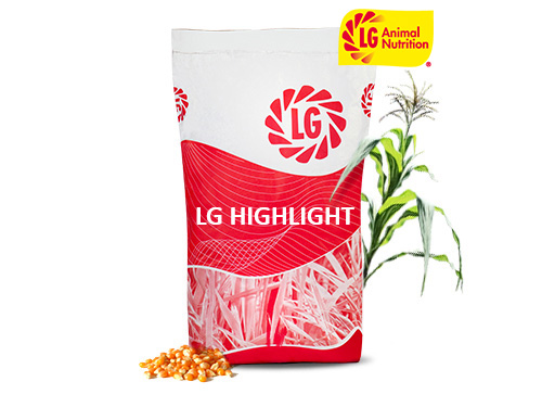 LG Hightlight LGAN