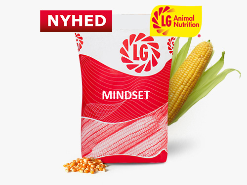 MINDSET_LGAN_Naujiena
